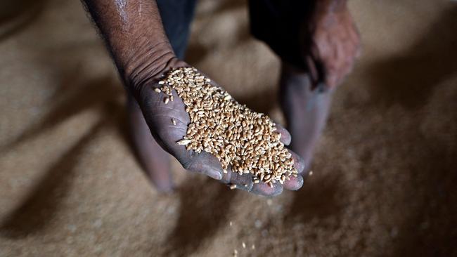 An expert has feared food costs could increase by 10 per cent. Picture: Sajjad Hussain/AFP