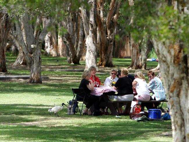 Centennial Park is one of the most popular places for a picnic in Sydney and there is no charge unless you want to book a specific site.