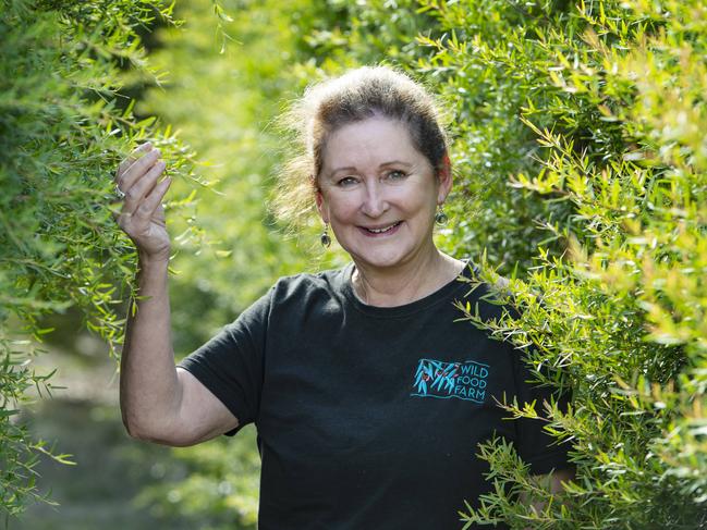 COUNTRY LIVING: Wild Food FarmJude Mayall runs the Outback Chef Wild Food Farm at Rhyll. Since 2005 she has run Outback Chef, sourcing native foods from around Australia, selling wholesale. Last year she bought the 4ha food farm which has about 50 different bush species, with the ingredients used in the farm cafe and sold retailPICTURED: Jude Mayall with the lemon scented tea treePHOTOGRAPHER: ZOE PHILLIPS