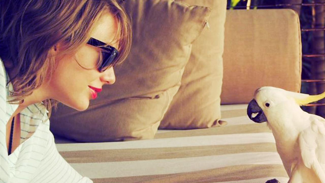 Taylor Swift on Hamilton Island with a cockatoo. Picture: Instagram