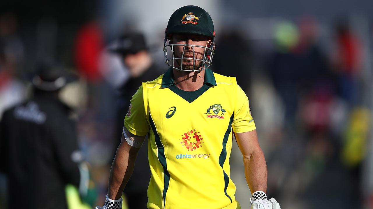 Australia vs India ODI cricket series 2019, World Cup: Chris Lynn says ...