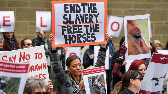 Protesters rally against Melbourne CBD’s horse carriages last year. Picture: Jake Nowakowski