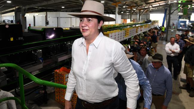 Queensland Premier Annastacia Palaszczuk. Picture: Dan Peled