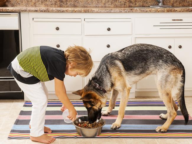 Kids doing chores. iStock image. For Kids News and Hibernation