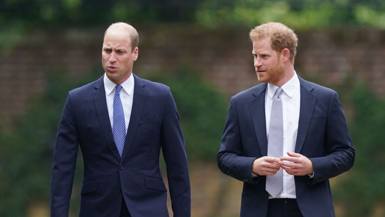 一位王室专家声称，未经梅根的“批准”，哈里王子不会与弟弟威廉王子和解。