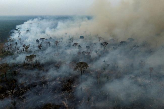 Some 30.8 million hectares (119,000 square miles) of vegetation were burned in Brazil in 2024, a 79 percent increase from 2023, monitoring platform MapBiomas reported