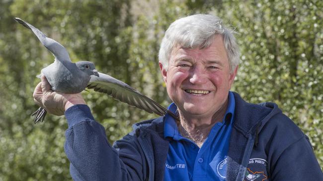 Victorian Pigeon Racing Union social club president Paul Burlak. Picture: Rob Leeson.