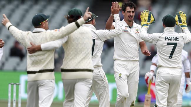 Mitchell Starc playing for Australia against Pakistan at the Adelaide Oval last year. Picture: Sarah Reed