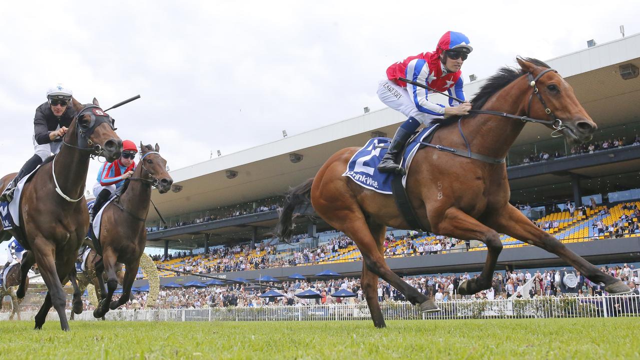 Fox Fighter turned in an eye-catching run at Hawkesbury last week. Picture: Getty Images