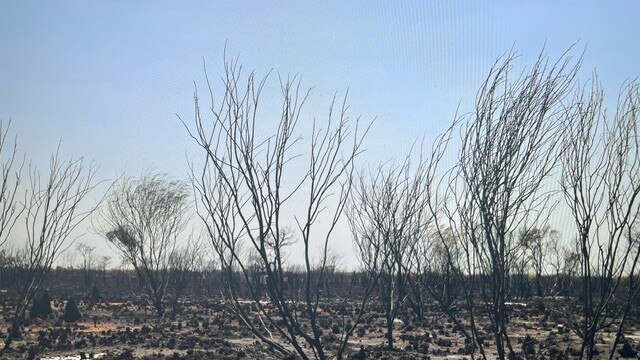 The aftermath of the bushfire south of Tennant Creek in Central Australia, October 2024. Picture: David Curtis Snr