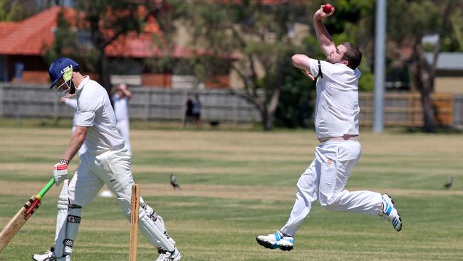 Manly Warringah Cricket Association, 2023-24. Picture: Damian Shaw