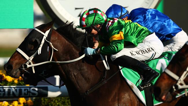 Rediener holds off Kovalica (nose far right) in the Epsom. We thought this week it’s better to show a photo of horses than Matty and Benny.