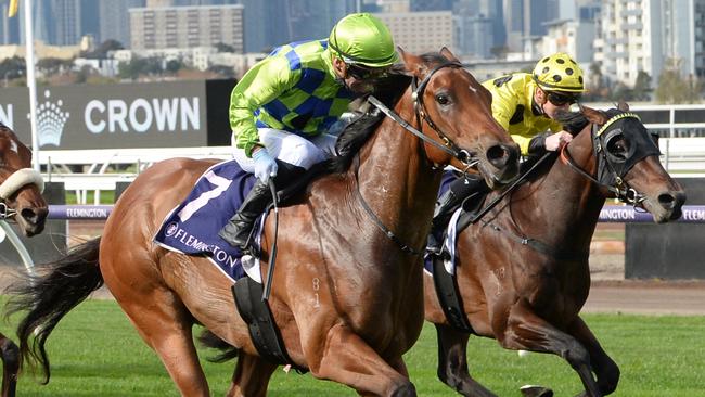 Smart three-year-old Wonder Boy will step up to tackle the older horses in Saturday’s Group 3 Standish Handicap. Picture: Racing Photos