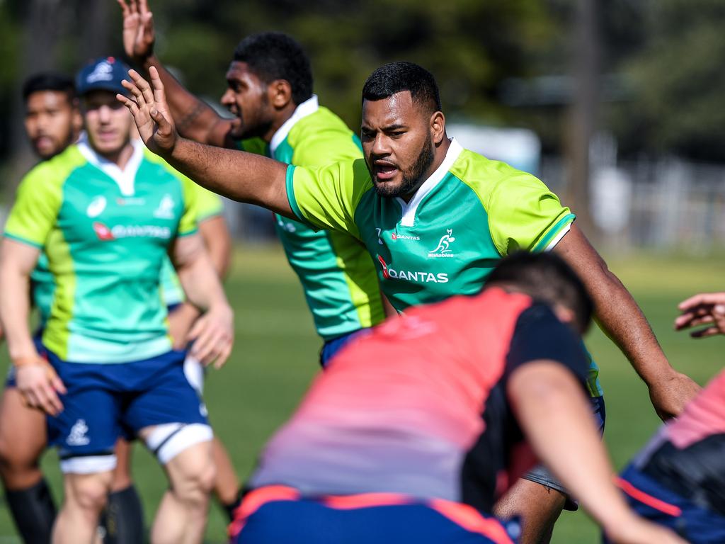 Bledisloe Cup: Wallabies Lose Taniela ‘Tongan Thor’ Tupou To Injury ...