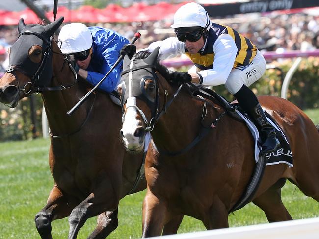 Racing : Derby Day at Flemington race course. 29th October Melbourne Australia.  Race 4,  Lexus Stakes over 2500 metres. Winner no 8 Oceanographer ridden by Kerrin McEvoy ( blue - white cap ) 2 nd No 5 Tom Melbourne ridden by Glenn Boss , 3rd no 3 Tally ridden by James McDonald.Picture : George Salpigtidis