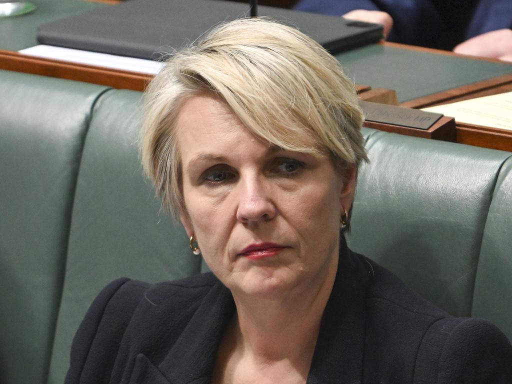 Environment Minister Tanya Plibersek has hit back at suggestions her decision to veto a dump site for a $1 billion gold mine was influenced by environmental activists. Picture: NewsWire / Martin Ollman