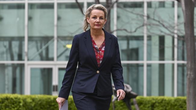 Deputy Leader of the Opposition Sussan Ley said Australia risks falling behind in the global space race. Picture: NCA NewsWire / Martin Ollman