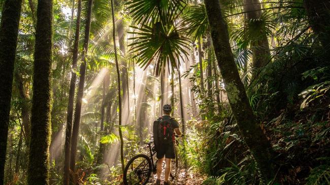 #mymackay first place winning photograph of Eungella by Mick Vivian.