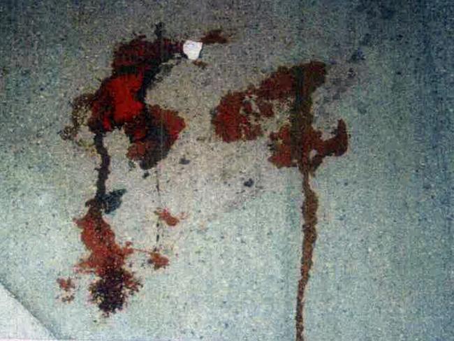 Crime scene photos show blood on the pavement where David was stabbed 24 times with a large knife.