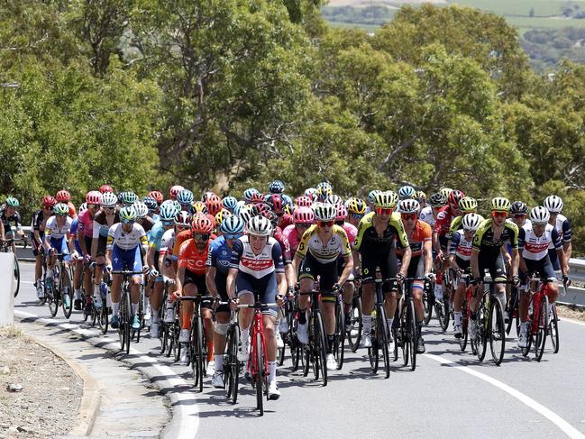 CYCLING - Tour Down Under - Be Safe Be Seen Stage 6 - 26/01/20 - McLaren Vale to Willunga Hill  The peloton on the chase - making its way up Willunga Hill for the first time Picture SARAH REED