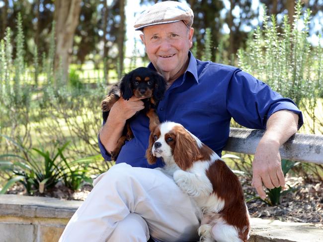 TV vet Dr Harry Cooper will be a special guest at Paws in the Park.