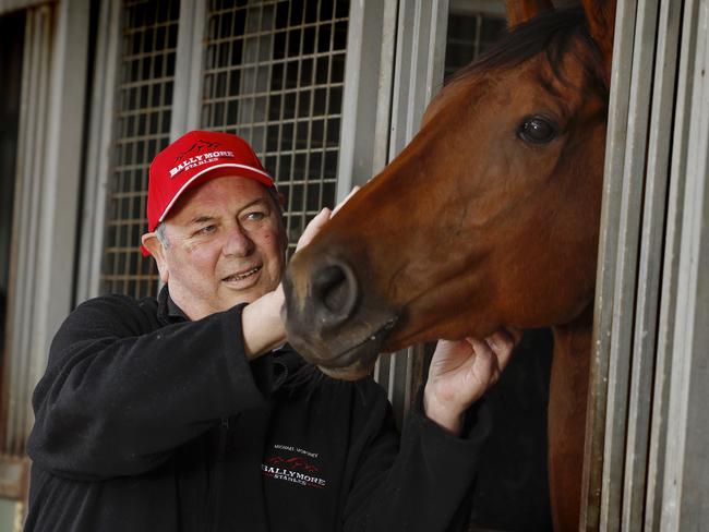 NCA. MELBOURNE, AUSTRALIA. October 29, 2024. RACING. Horse trainer Michael Moroney at his stables at Flemington today.  Pictures : Michael Klein