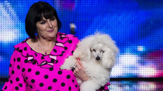 Dancing dog Jackson and The Funky Bunny through to finals of Channel 9 ...