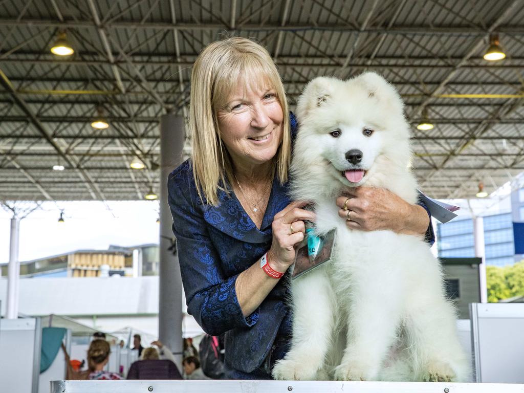 Julie Wales with Marshall, the three-month-old Samoyed, at the Ekka at the RNA Showgrounds in Bowen Hills on Thursday. Picture: Richard Walker