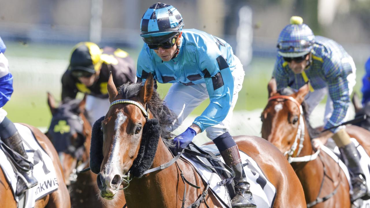 Williamsburg will chase a maiden Group 1 in the Spring Champion Stakes. Picture: Jenny Evans-Getty Images