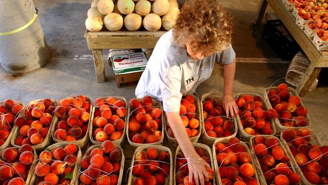 Nashville Farmers’ Market.