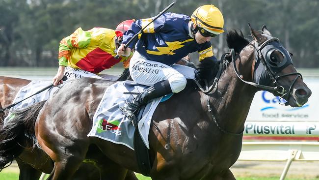 Skiddaw wins at Bendigo on Saturday. Picture: AAP