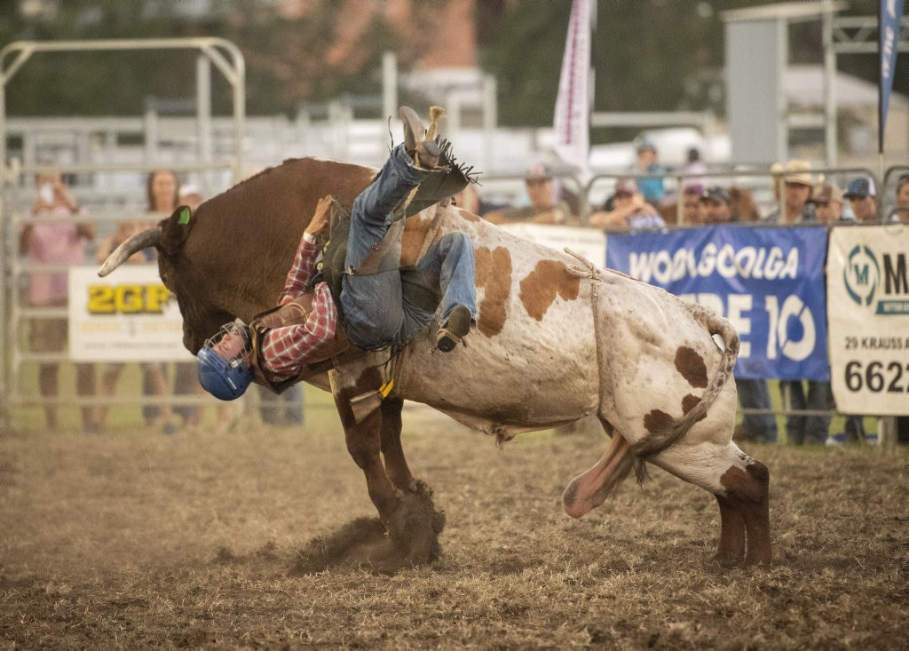 Ty Thomson rides in open bullride at the Lawrence Twilight Rodeo. Picture: Adam Hourigan