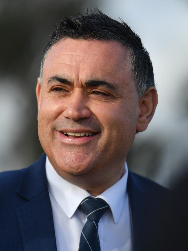 NSW Deputy Premier John Barilaro described the activists as “domestic terrorists”. Picture: AAP Image/Mick Tsikas