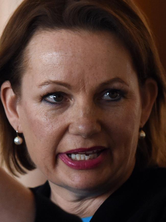 Minister for Health Sussan Ley. Picture: AAP