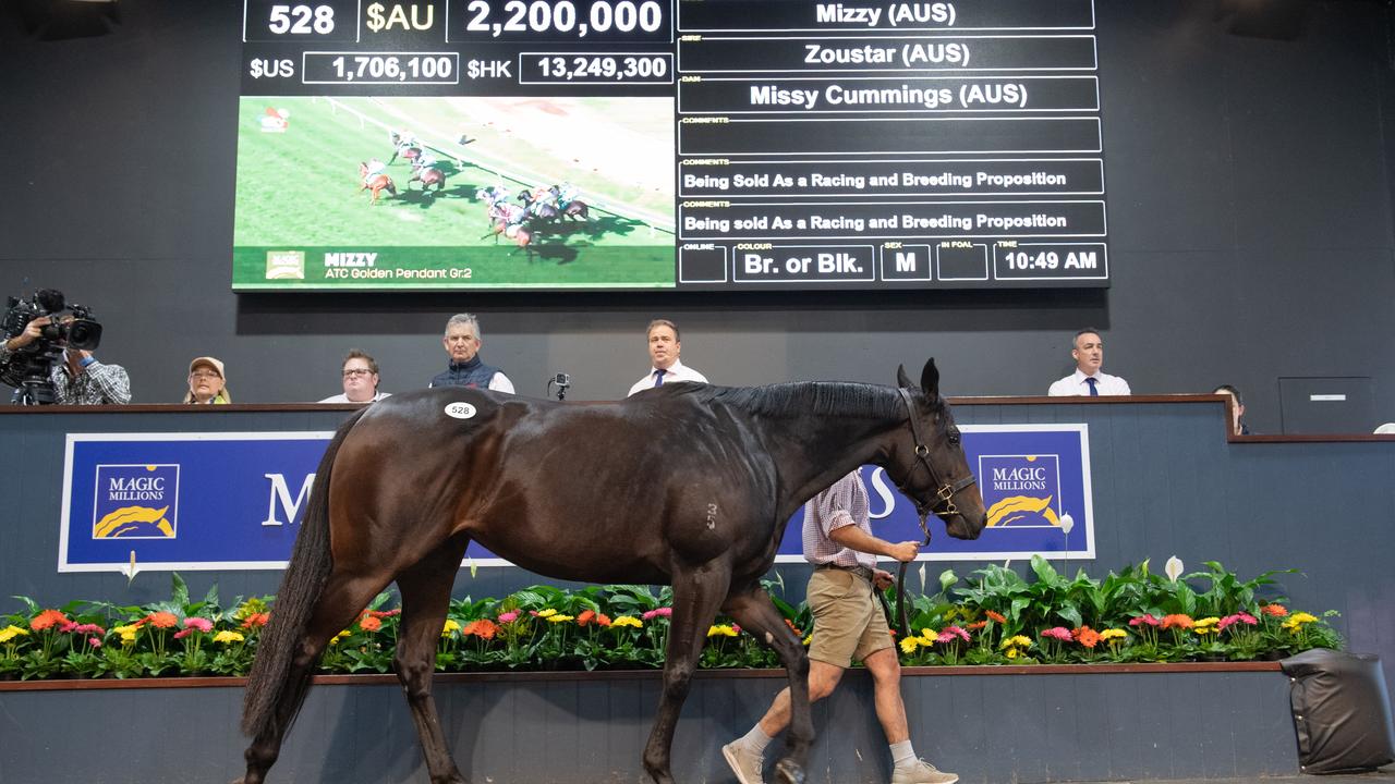 Mizzy being sold at the Magic Millions National Broodmare Sale in 2021. Photo: Magic Millions.