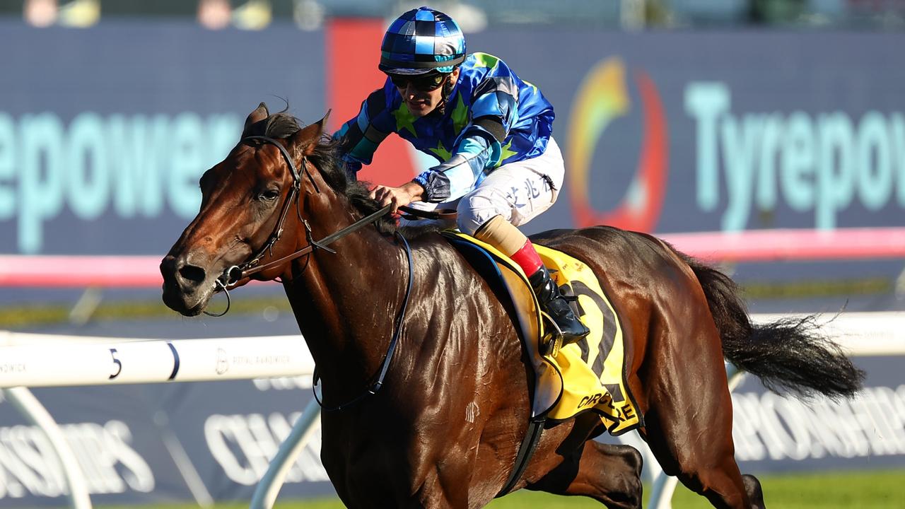 Sydney Cup winner Circle Of Fire is equal favourite for the Melbourne Cup. Picture: Jeremy Ng/Getty Images