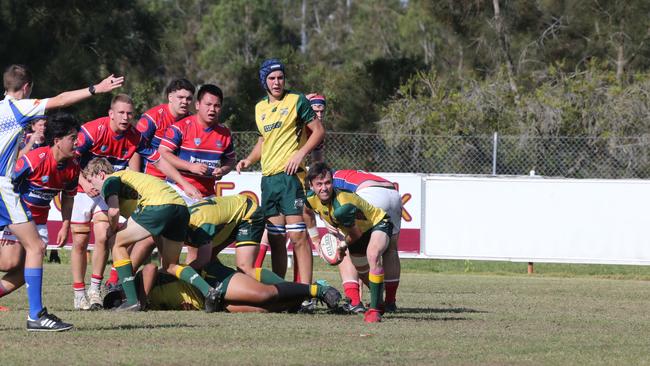 Action galleries of the junior rugby union grand finals, match played at Surfers Paradise Home Ground. Surfers Paradise Dolphins Vs Bond Uni under 18s division. Picture Mike BatterhamAction galleries of the junior rugby union grand finals, match played at Surfers Paradise Home Ground. Surfers Paradise Dolphins Vs Bond pirates under 18s division. Picture Mike Batterham