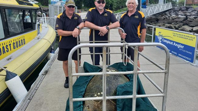 Cairns Coast Guard have rescued a giant sea turtle after it was reported in distress by boaters off the coast of Cairns. Photo: Facebook