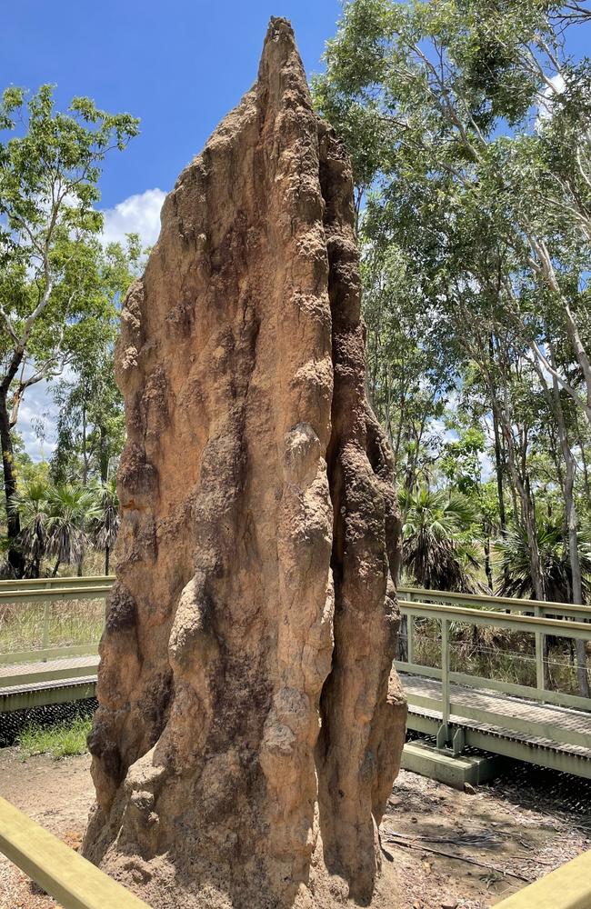 Magnetic Cathedral termite mound at Litchfield National Park. Picture: Rae Wilson