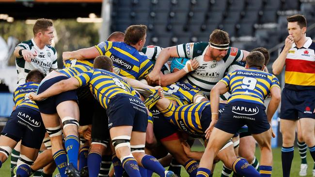 Shute Shield could be back in three months. Picture: Karen Watson