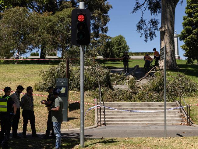 MELBOURNE, AUSTRALIA - NewsWire Photos - 31 DECEMBER, 2024: Two people have been injured after they were struck by a fallen tree branch at the Shrine of Remembrance this afternoon. A park ranger removes a fallen tree branch near the Shrine of Remembrance in Melbourne. Picture: NewsWire / Diego Fedele