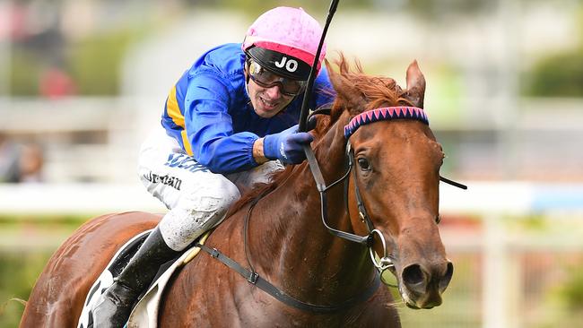 Trainer Rex Lipp has big plans for Gem Of Scotland. Picture: AAP