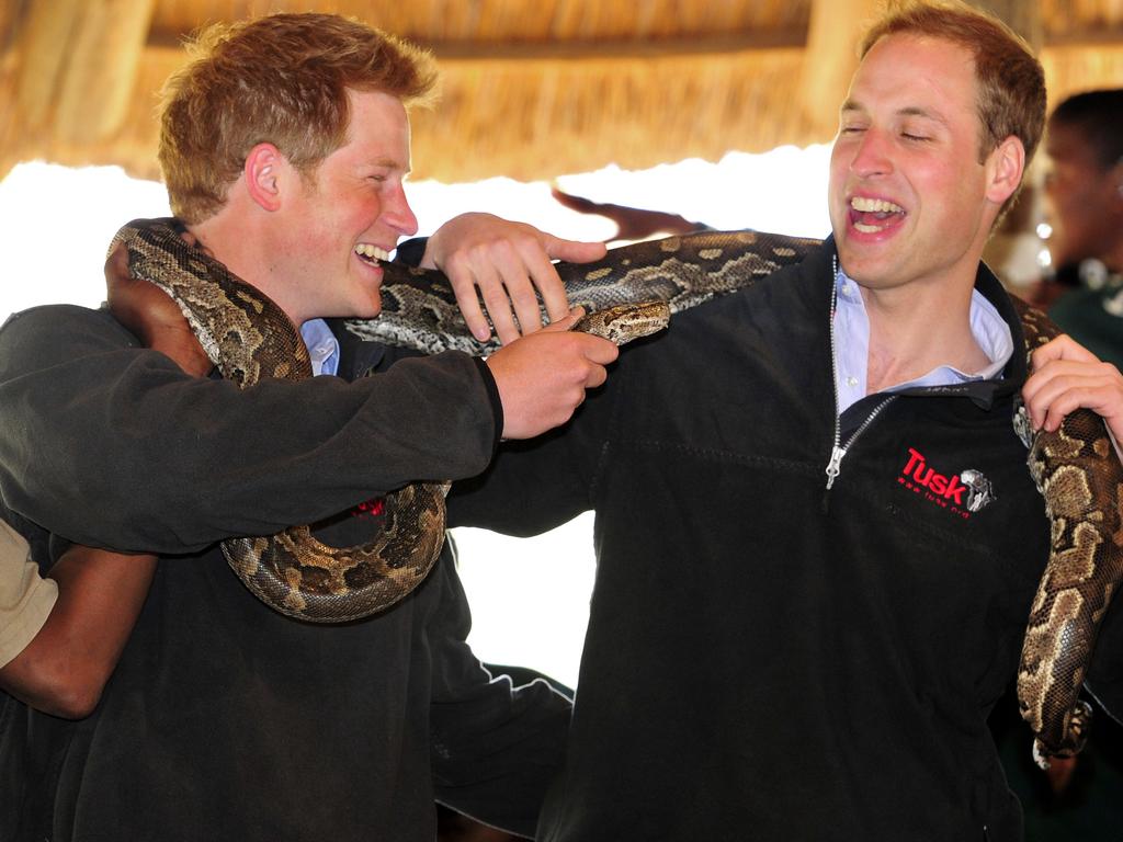 <b>2010:</b> The royal brothers appear closer than ever as they tour Botswana and Lesotho to visit their various charity projects.