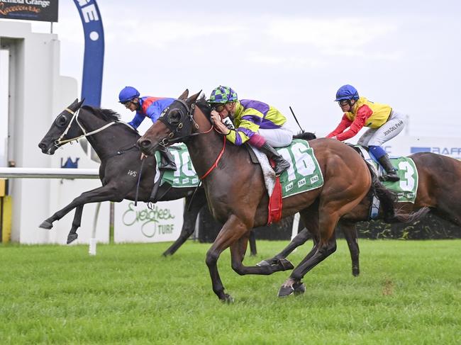 Bully For You (checked cap) wins at Kembla Grange in April. The Ross McConville-trained gelding is a good winning chance at Newcastle on Saturday. Picture: Bradley Photos