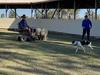 How dog training can improve people’s mental health
