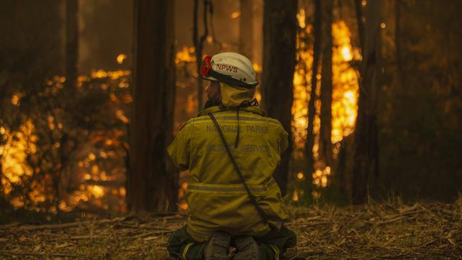 Firefighters work to control a small fire burning south of Eden. Picture: Gary Ramage