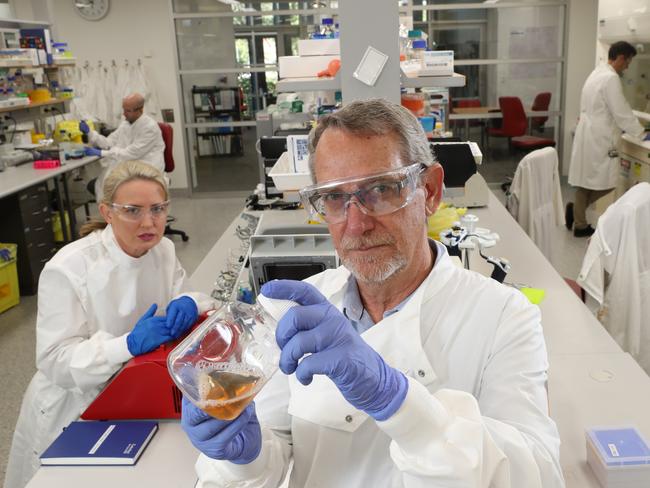 Minister Kate Jones, Dr Dan Watterson, Professor of Virology Paul Young, and Dr Keith Chappell, in the Molecular Virology Lab, where they are working on a rapid response vaccine. Picture: Liam Kidston