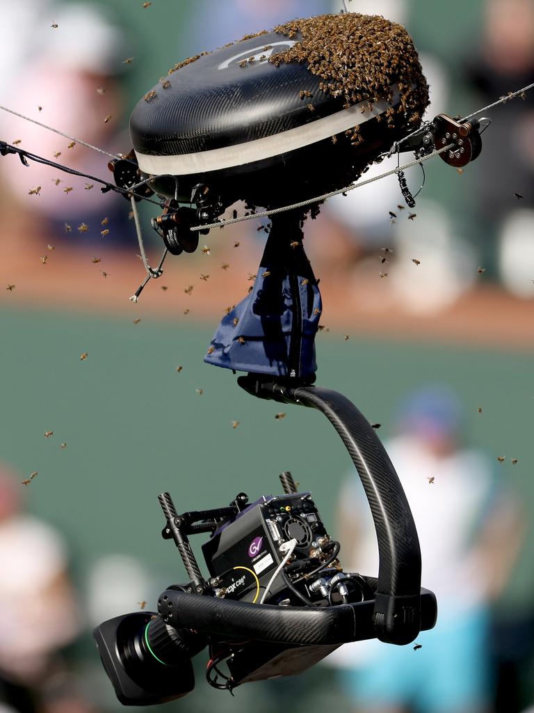 The bees were loving the spidercam. Photo by Matthew Stockman/Getty Images