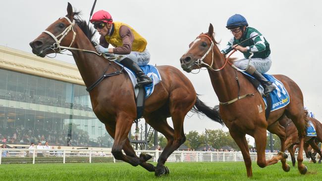 Field Of Play is one of two unbeaten youngsters in the field for Saturday’s $2m Blue Diamond Stakes at Caulfield. Picture: Racing Photos via Getty Images