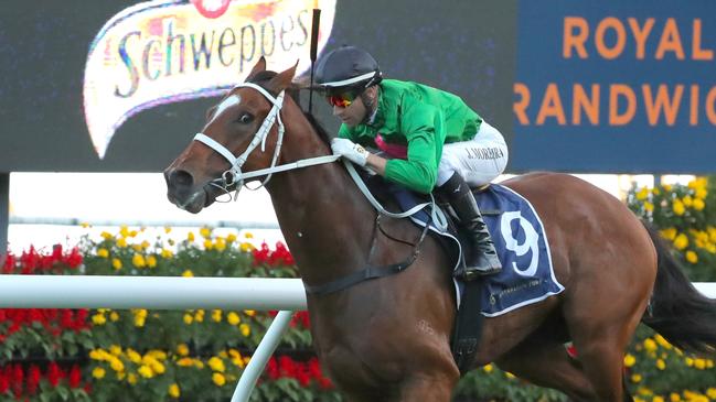 SYDNEY, AUSTRALIA - APRIL 15:  Joao Moreira riding Democracy Manifest wins Race 10 Catanach's Jewellers during "Schweppes All Aged Stakes Day" - Sydney Racing at Royal Randwick Racecourse on April 15, 2023 in Sydney, Australia. (Photo by Jeremy Ng/Getty Images)